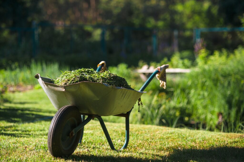 The Benefits of Our Garden Clearance Services