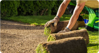 planting-natural-grass-turfs-on-a-newly-prepared-s