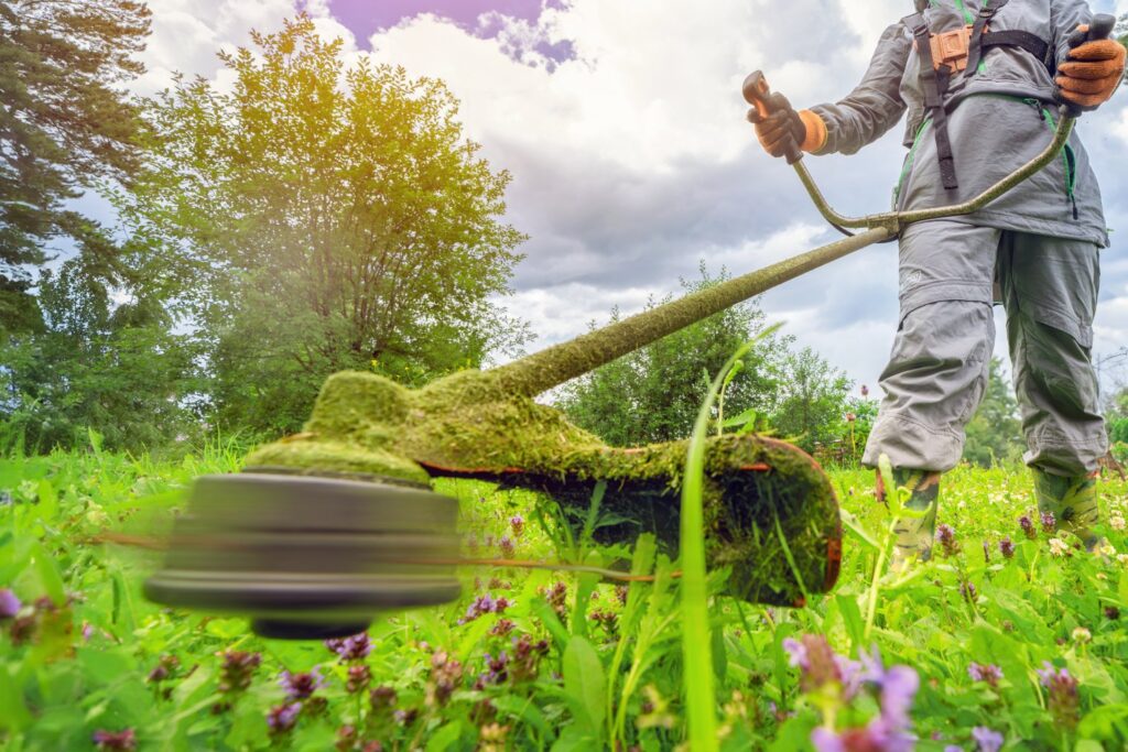 A Tailored Approach to Grounds Maintenance​