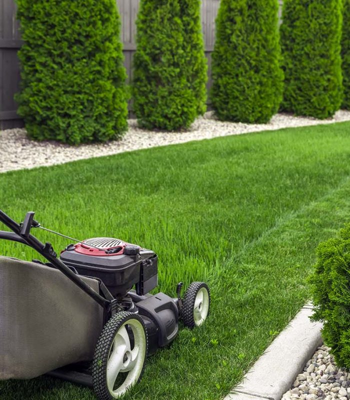 lawn-mower-on-grass-FQU7GR2